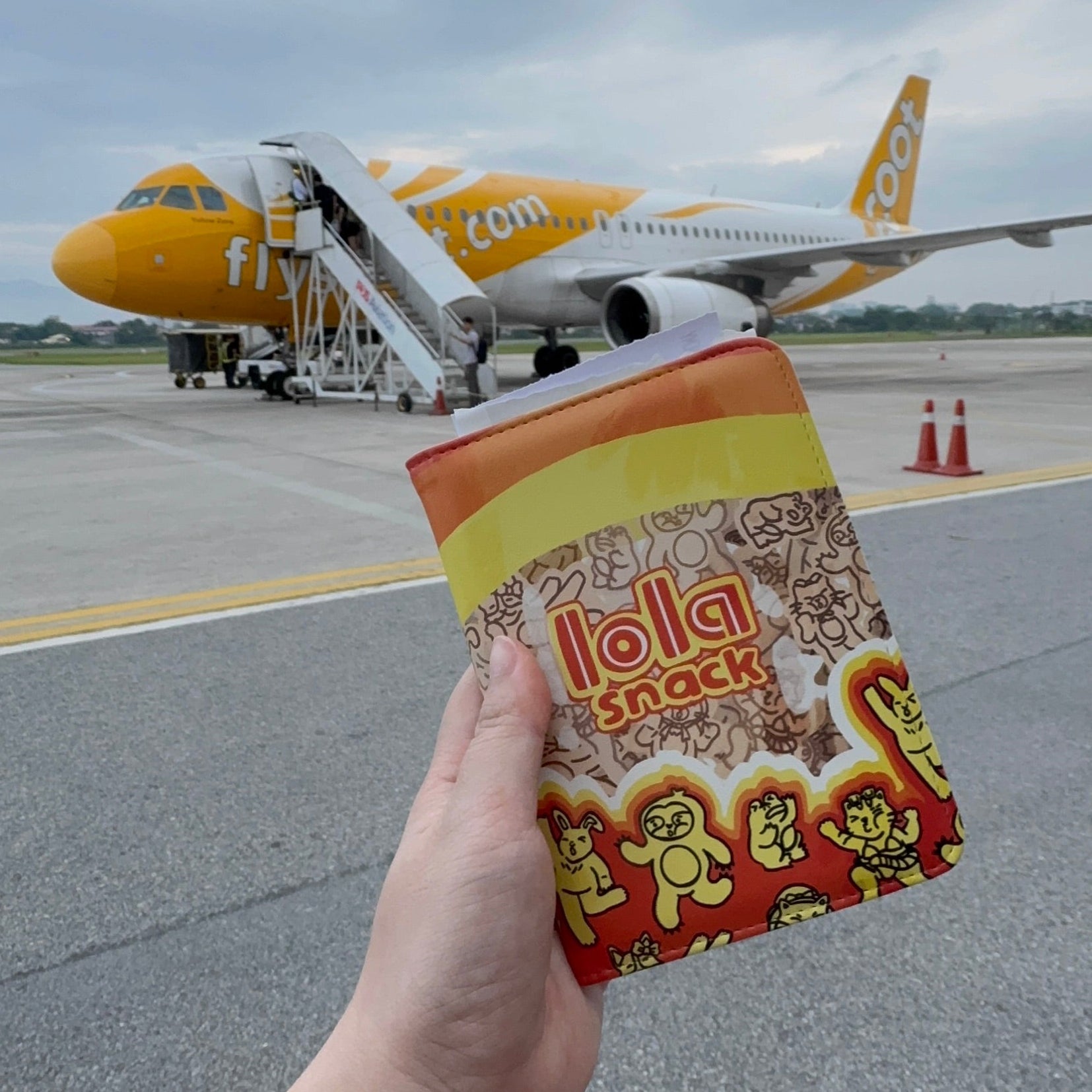 Pocket Snack Passport Holder/Travel Wallet